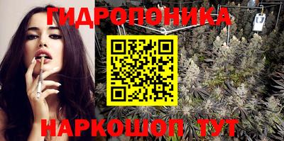 тгк Ставрополь