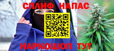 винт Тара